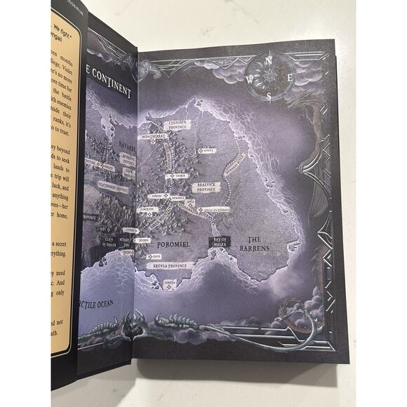 Onyx Storm Rebecca Yarros Target Exclusive Limited Edition Hardcover New W/PINS - Picture 4 of 11